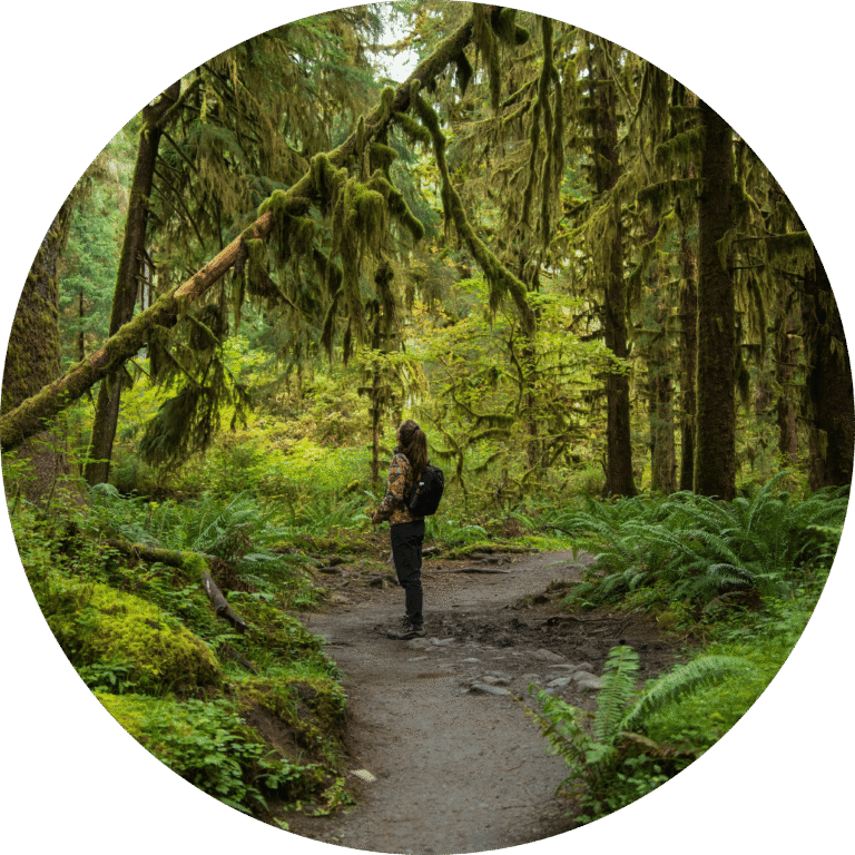 Olympic National Park Circle Image
