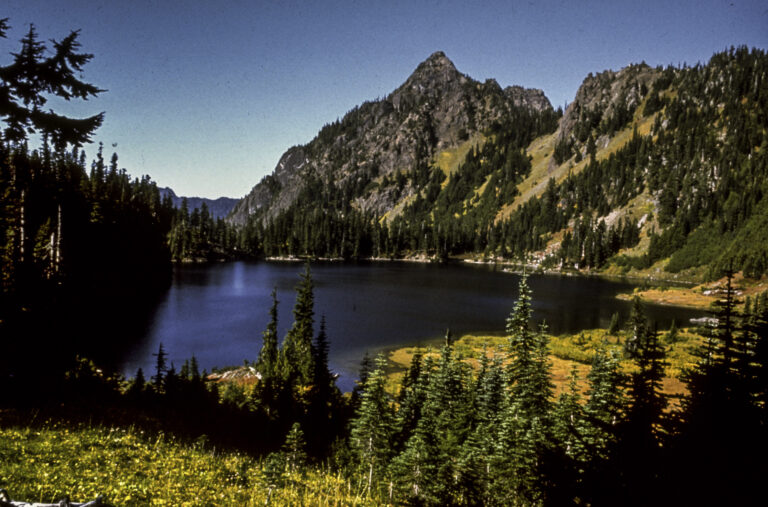 Olympic National Park